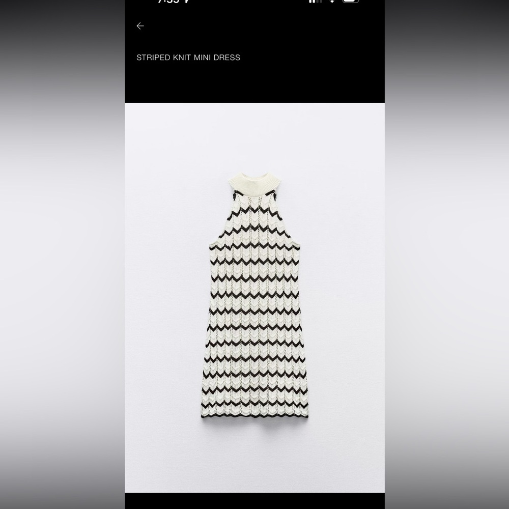 Zara Cream and Black Knit dress